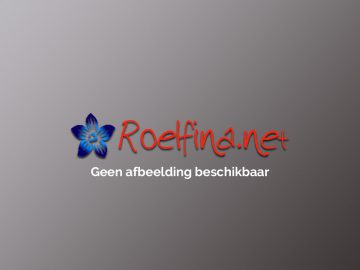 Geen afbeelding beschikbaar - Roelfina.net