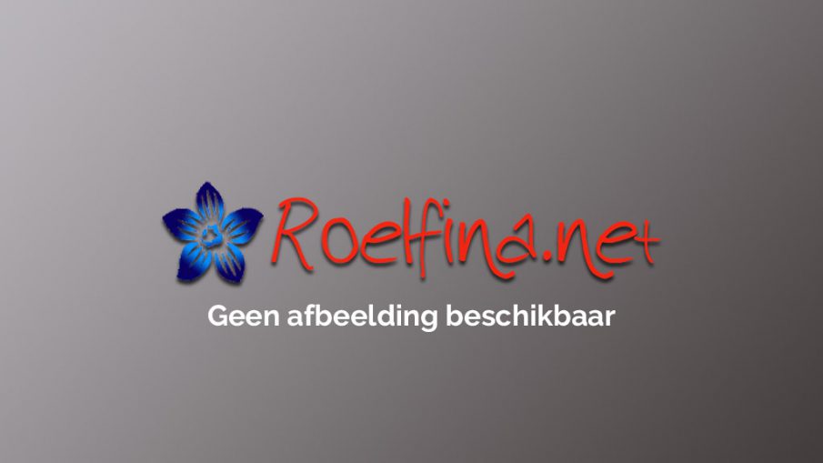 Geen afbeelding beschikbaar - Roelfina.net